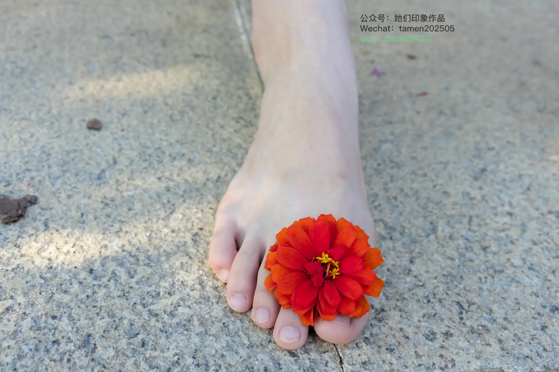 [她们印象]No.077 南希(196P+2V_3.8G) [她们印象]No.077 南希(196P+2V_3.8G)_nb01.xyz_0179 图片7