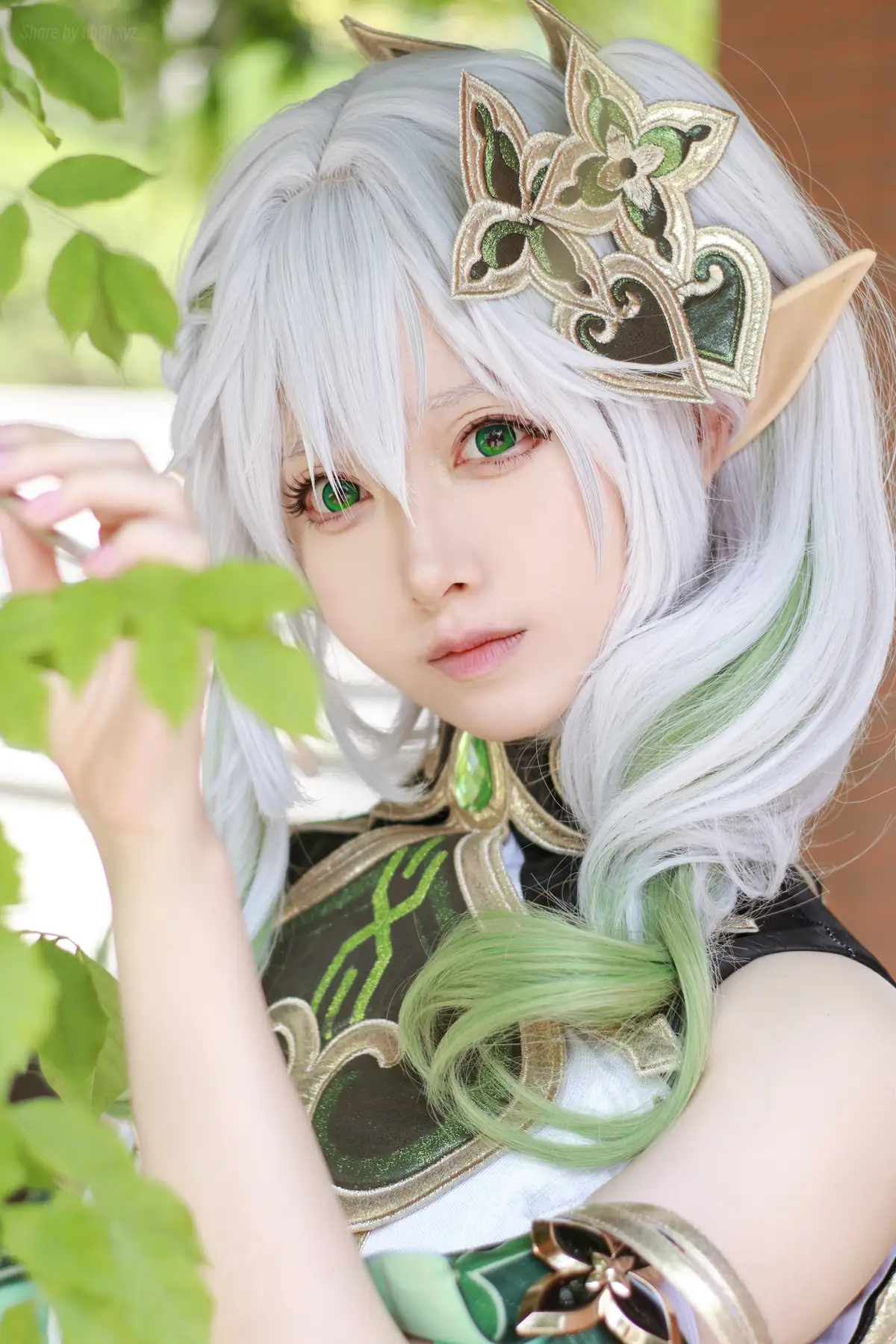 Asagiriai 朝霧愛(愛ちゃん) - Nahida 納西妲(37P_133.8M) Asagiriai 朝霧愛(愛ちゃん) - Nahida 納西妲(37P_133.8M)_nb01.xyz_0001